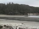 ./images/calvert/beach/20160430/beach20160430_130503.jpg