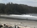 ./images/calvert/beach/20160501/beach20160501_104502.jpg