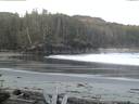 ./images/calvert/beach/20160502/beach20160502_054501.jpg