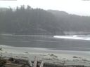 ./images/calvert/beach/20160503/beach20160503_060502.jpg