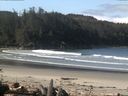 ./images/calvert/beach/20160504/beach20160504_095003.jpg