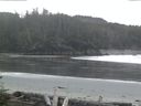./images/calvert/beach/20160508/beach20160508_061001.jpg