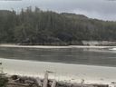 ./images/calvert/beach/20160508/beach20160508_100003.jpg