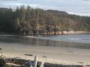 ./images/calvert/beach/20160510/beach20160510_200003.jpg