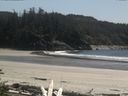 ./images/calvert/beach/20160511/beach20160511_145002.jpg