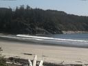 ./images/calvert/beach/20160511/beach20160511_154002.jpg