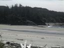 ./images/calvert/beach/20160513/beach20160513_134502.jpg
