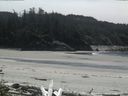 ./images/calvert/beach/20160513/beach20160513_135003.jpg