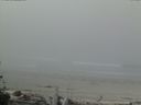 ./images/calvert/beach/20160514/beach20160514_090503.jpg