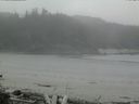 ./images/calvert/beach/20160514/beach20160514_132003.jpg
