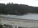 ./images/calvert/beach/20160515/beach20160515_105002.jpg