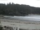 ./images/calvert/beach/20160515/beach20160515_111502.jpg