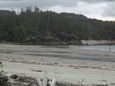 ./images/calvert/beach/20160515/beach20160515_154502.jpg