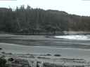 ./images/calvert/beach/20160520/beach20160520_050502.jpg