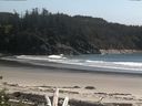 ./images/calvert/beach/20160520/beach20160520_155502.jpg