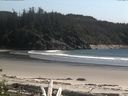 ./images/calvert/beach/20160520/beach20160520_161003.jpg