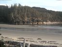 ./images/calvert/beach/20160521/beach20160521_201002.jpg