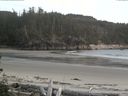 ./images/calvert/beach/20160524/beach20160524_201503.jpg