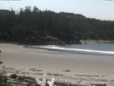 ./images/calvert/beach/20160525/beach20160525_134003.jpg