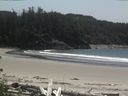 ./images/calvert/beach/20160525/beach20160525_140503.jpg