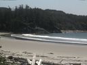 ./images/calvert/beach/20160525/beach20160525_141002.jpg