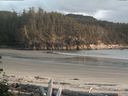 ./images/calvert/beach/20160525/beach20160525_203502.jpg