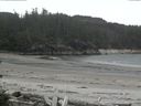 ./images/calvert/beach/20160529/beach20160529_100503.jpg