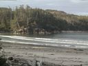 ./images/calvert/beach/20160530/beach20160530_074503.jpg