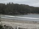 ./images/calvert/beach/20160530/beach20160530_082502.jpg