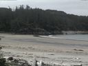 ./images/calvert/beach/20160530/beach20160530_114502.jpg