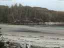./images/calvert/beach/20160531/beach20160531_045502.jpg