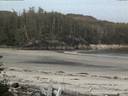 ./images/calvert/beach/20160531/beach20160531_050003.jpg