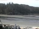 ./images/calvert/beach/20160605/beach20160605_092002.jpg