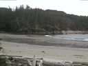 ./images/calvert/beach/20160606/beach20160606_185002.jpg