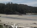 ./images/calvert/beach/20160609/beach20160609_131003.jpg