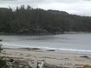 ./images/calvert/beach/20160610/beach20160610_055503.jpg