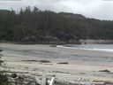 ./images/calvert/beach/20160610/beach20160610_092003.jpg