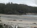 ./images/calvert/beach/20160610/beach20160610_092502.jpg
