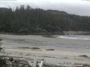 ./images/calvert/beach/20160610/beach20160610_095002.jpg