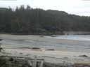 ./images/calvert/beach/20160610/beach20160610_141003.jpg
