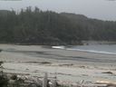 ./images/calvert/beach/20160612/beach20160612_110502.jpg