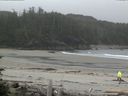 ./images/calvert/beach/20160612/beach20160612_112003.jpg