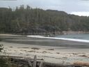./images/calvert/beach/20160614/beach20160614_061502.jpg