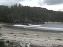 ./images/calvert/beach/20160615/beach20160615_191503.jpg