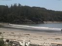 ./images/calvert/beach/20160617/beach20160617_141001.jpg