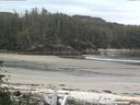 ./images/calvert/beach/20160621/beach20160621_061002.jpg