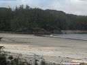 ./images/calvert/beach/20160626/beach20160626_093002.jpg