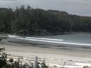./images/calvert/beach/20160629/beach20160629_095002.jpg