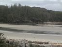 ./images/calvert/beach/20160705/beach20160705_081502.jpg