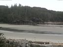 ./images/calvert/beach/20160705/beach20160705_082502.jpg